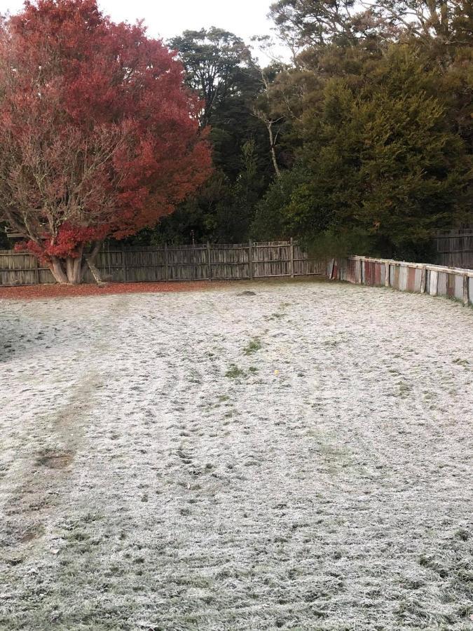 Moore St Cottage Ohakune Luaran gambar