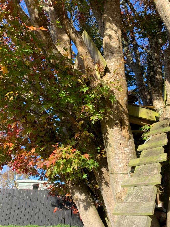 Moore St Cottage Ohakune Luaran gambar
